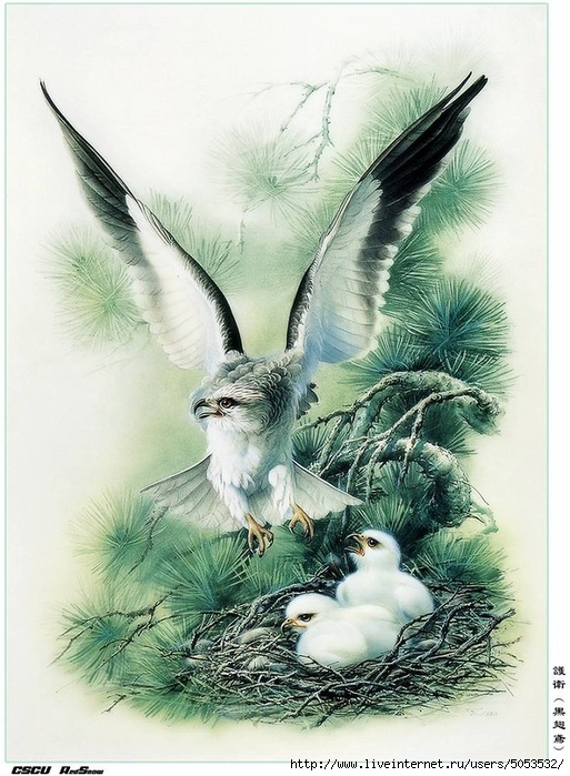 Мир птиц художника Зенг Ксяо 1 (513x700, 286Kb)