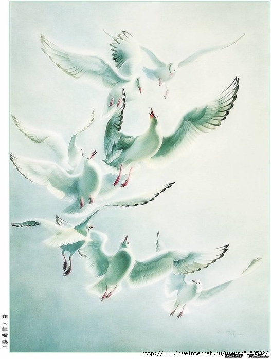 Мир птиц художника Зенг Ксяо 3 (527x700, 210Kb)
