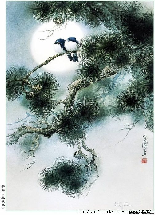 Мир птиц художника Зенг Ксяо (504x700, 327Kb)