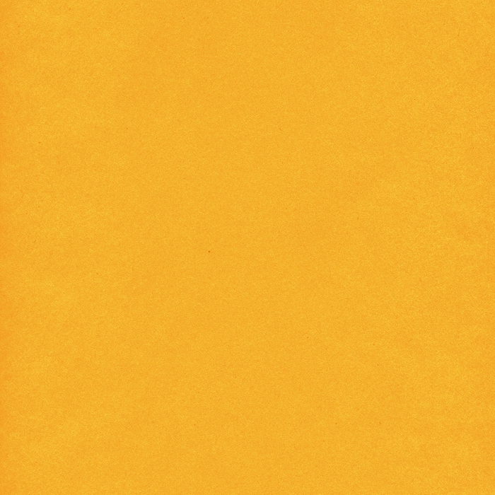 HOB_PoC_Orange Solid (700x700, 336Kb)