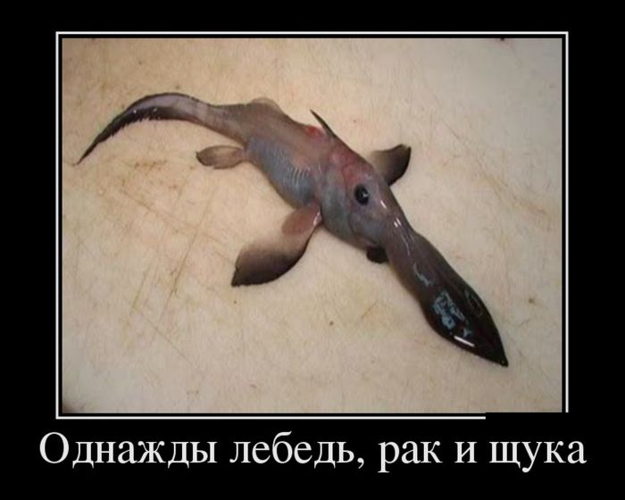 5402287_51862554 (700x560, 38Kb)