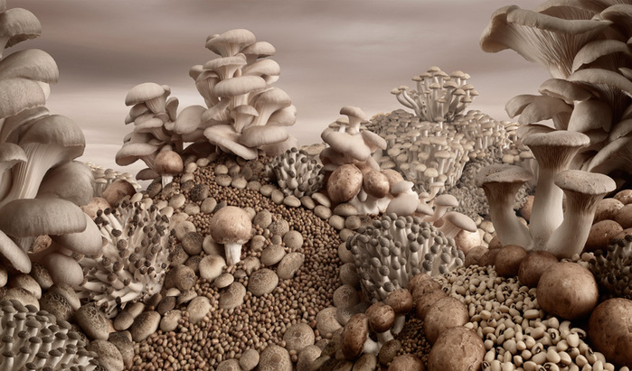 3906024_MushroomLandscape (700x411, 144Kb)