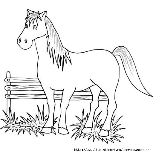 cavalo (512x512, 101Kb)