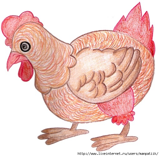 galinha colorida (512x501, 182Kb)