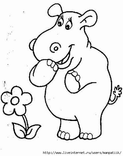 hippo (405x512, 89Kb)