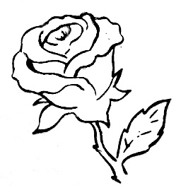rosa2 (256x276, 45Kb)