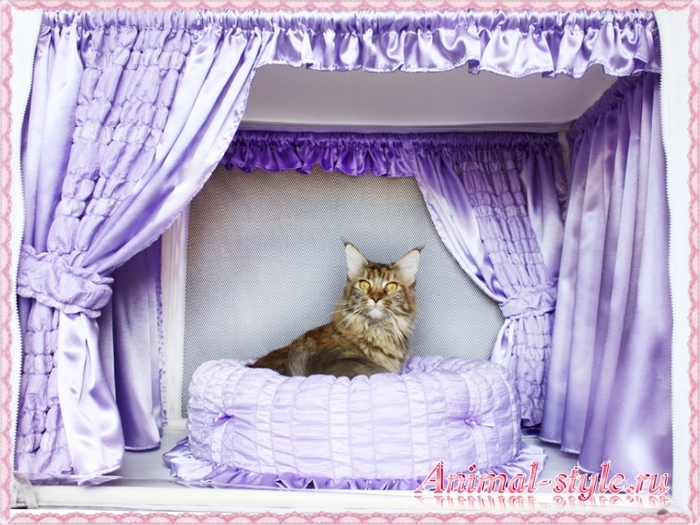 Купить товары для выставок кошек: выставочные палатки, складные лотки - КОТОРАЙ СПб
