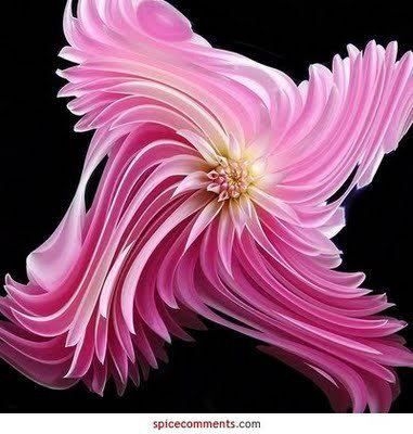 необыкновенной красоты цветы4м (381x400, 94Kb)