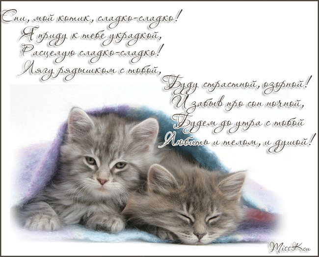 Поздравлениями лет, картинки для мужчины спокойной ночи мой сладкий любимый котеночек