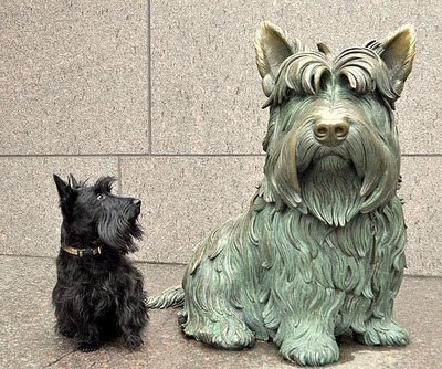 image (400x334, 81Kb)