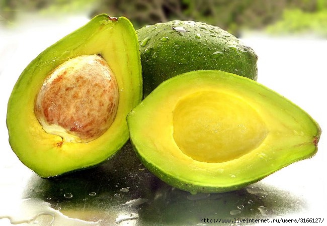 avocado-choice_big (650x450, 172Kb)