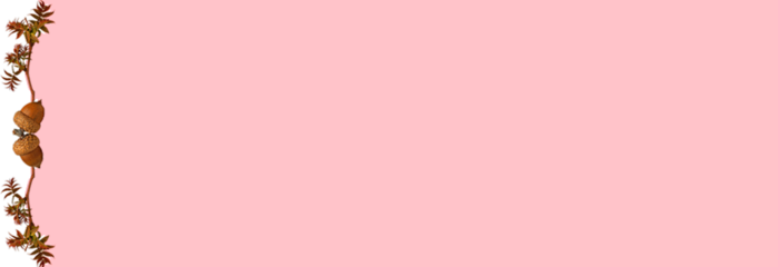 2 (700x240, 24Kb)