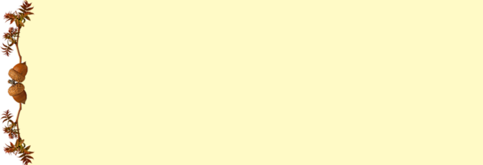 4 (700x240, 24Kb)