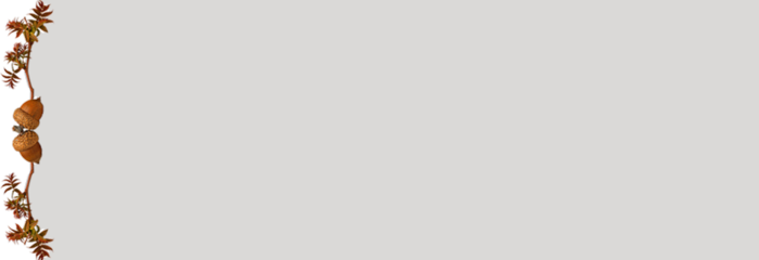 8 (700x240, 24Kb)