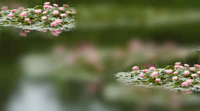 4617818_1_1_ (700x388, 18Kb)