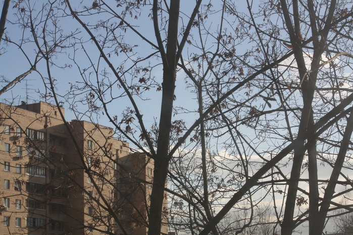 4052581_IMG_5232 (700x466, 326Kb)