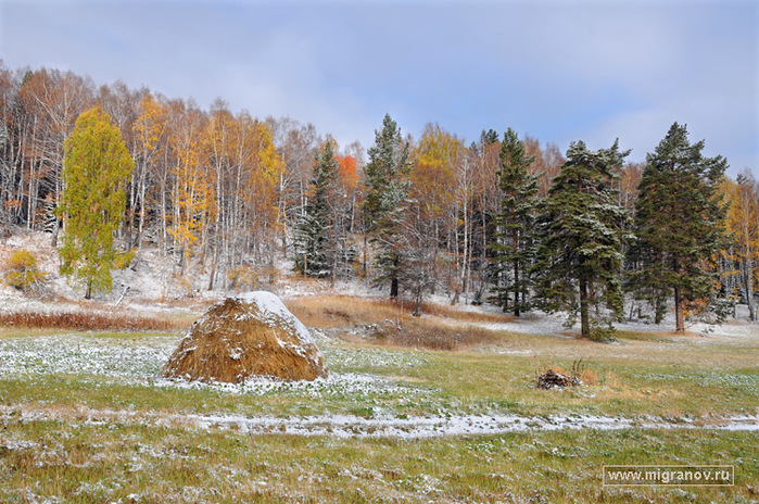 http://img0.liveinternet.ru/images/attach/c/9/106/922/106922100_large_first_snow.jpg