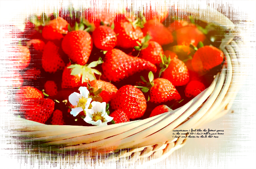 5 (500x331, 390Kb)