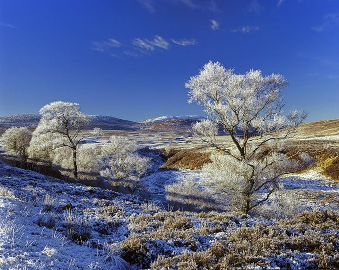85664398_large_1332944145_0_c7410_ef636e64_xl (700x558, 416Kb)