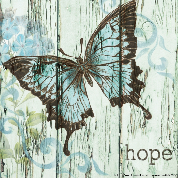 4964063_Barnwood_Butterfly_1_revised (700x700, 498Kb)