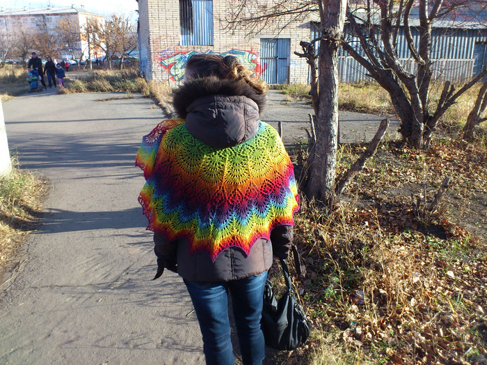 DSC_2475 (700x525, 659Kb)