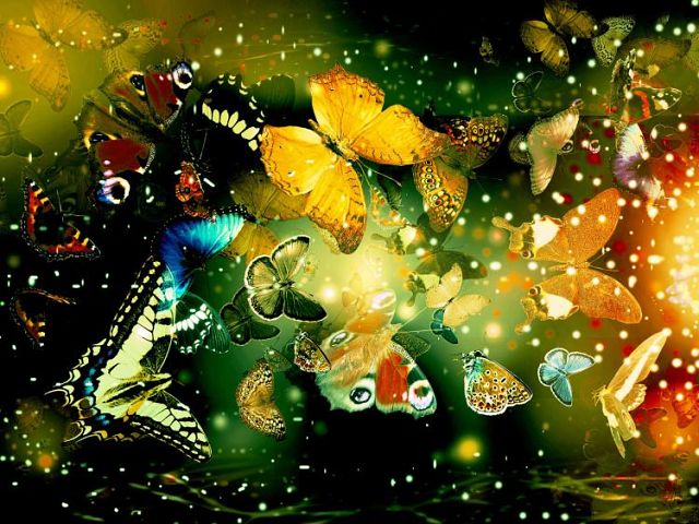 3571750_getImage_11 (640x480, 80Kb)