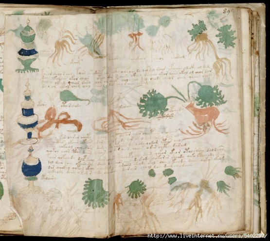 Voynich-Manuscript-1006234-555x497 (555x497, 178Kb)