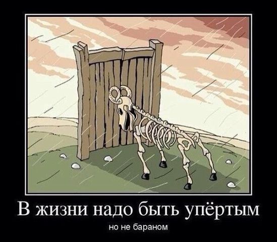 1  (549x480, 45Kb)