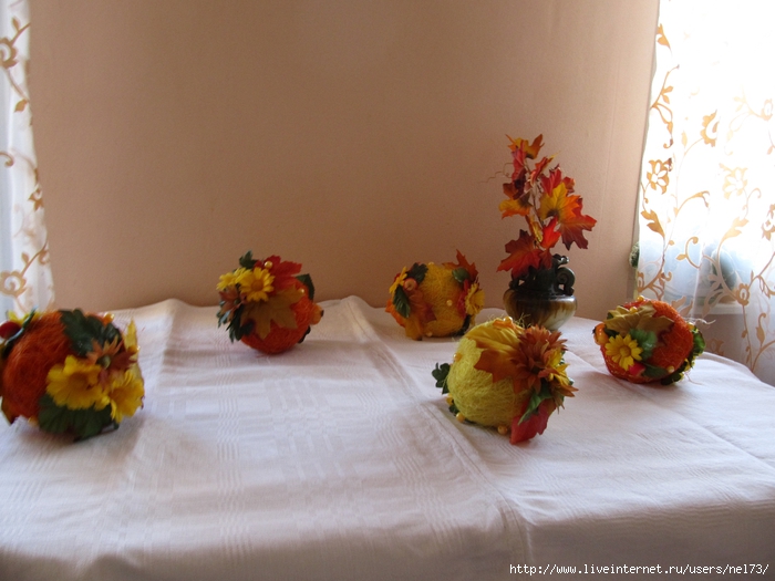 IMG_5122 (700x525, 241Kb)