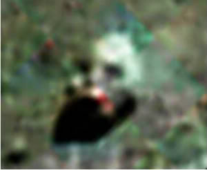 3623822_robothead21 (300x246, 8Kb)
