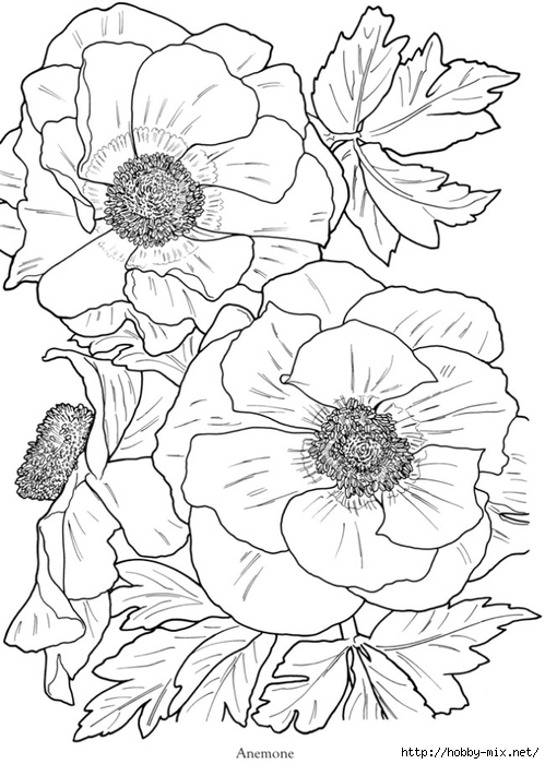 1 (499x700, 229Kb)