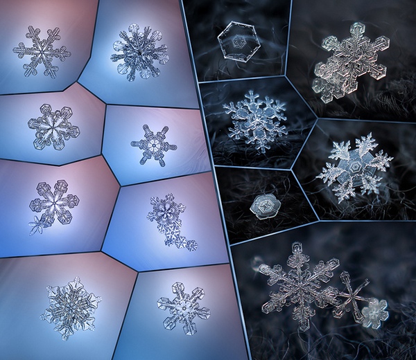 snowflakes-0 (600x520, 146Kb)