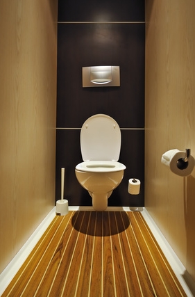 унитаз туалет подвесной (281x427, 85Kb)