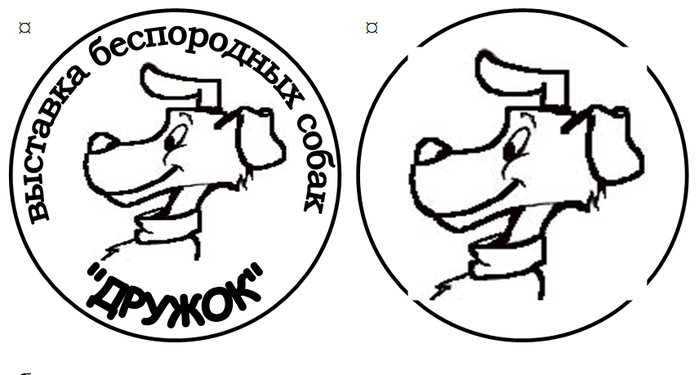 Druzhok copy (700x375, 104Kb)