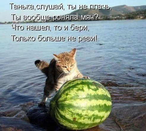 пятница вечер (492x441, 135Kb)