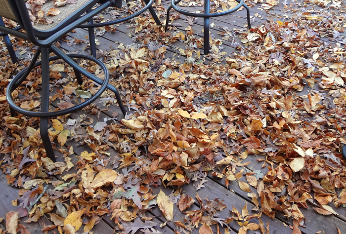 Leaves-on-my-porch (700x474, 577Kb)