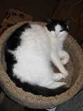 IMG_0576 (120x160, 15Kb)