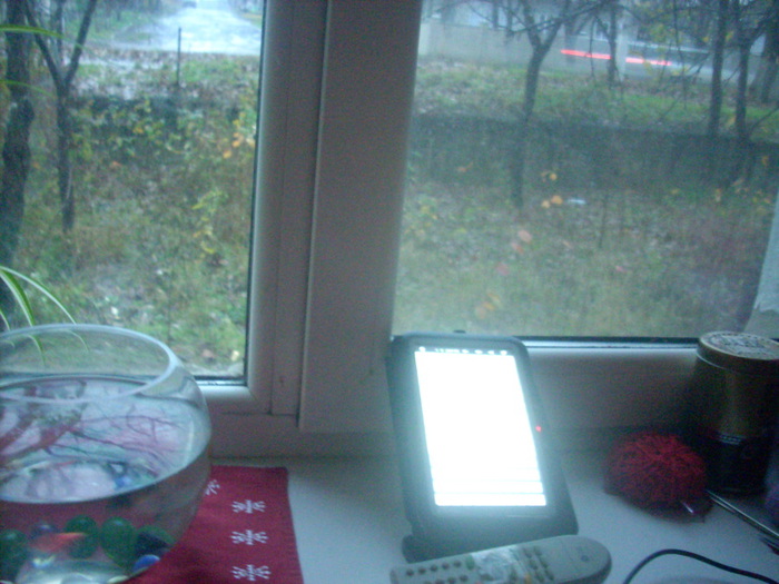 DSCN5127 (700x525, 129Kb)
