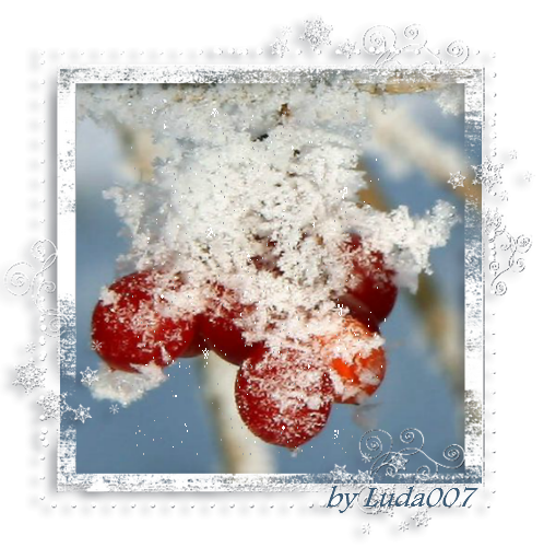 3427527__13_ (498x500, 470Kb)