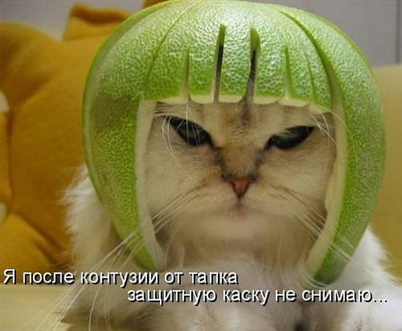   (583x480, 45Kb)