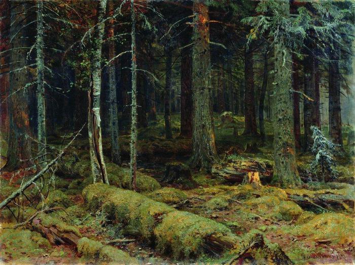 3623822_Temnii_les__1890 (700x522, 95Kb)