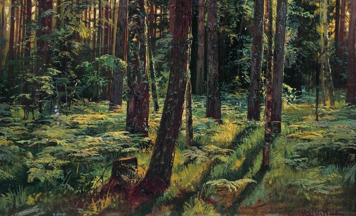 3623822_Paporotniki_v_lesy__Siverskaya__1883 (700x425, 85Kb)