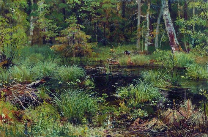 3623822_Rodnik_v_lesy__1892 (700x461, 94Kb)