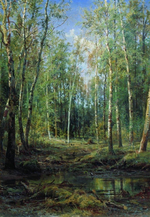 3623822_Berezovaya_rosha__1875 (484x700, 325Kb)