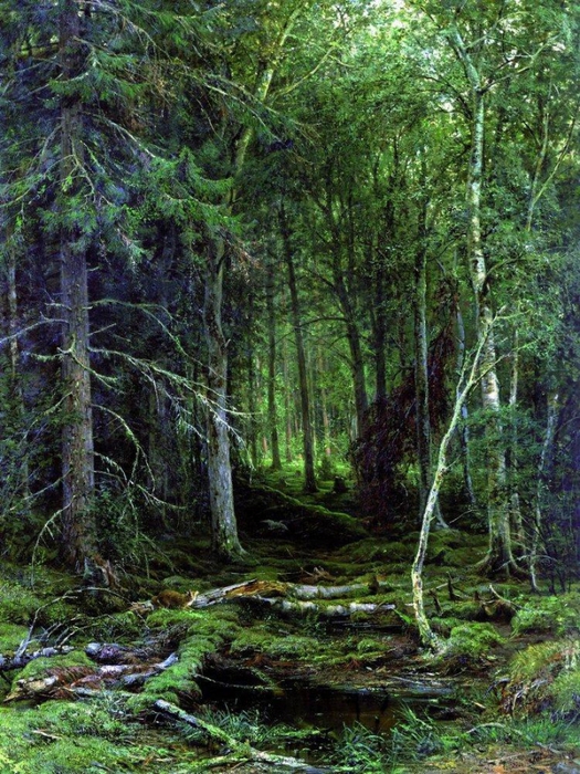 3623822_Lesnaya_glysh__1872 (525x700, 379Kb)