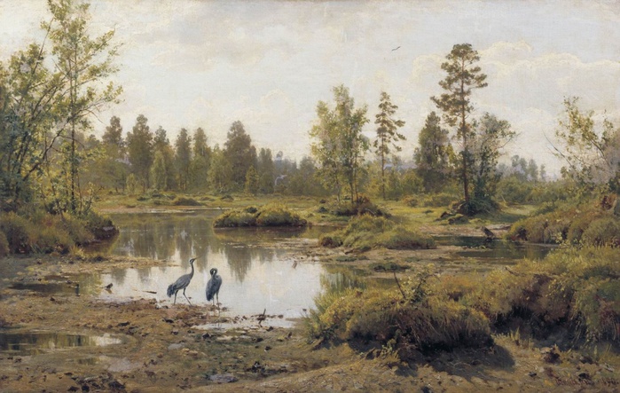 3623822_Boloto__Polese__1890 (700x443, 143Kb)