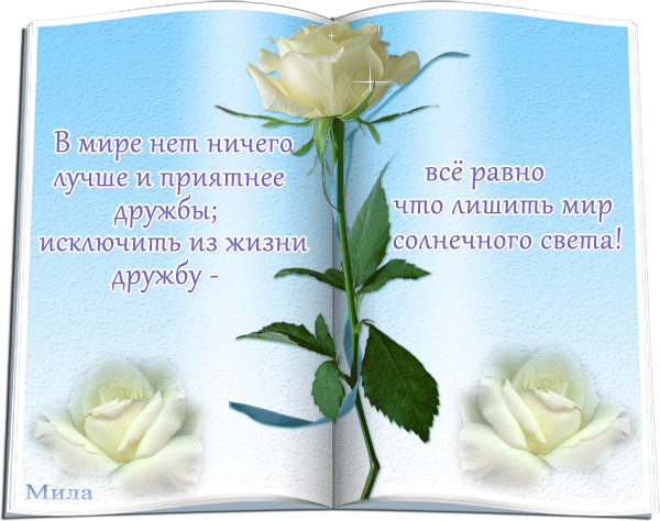 Стихи о дружбе в картинках и анимациях