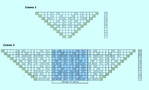 Шаль жар птица спицами схема и описание