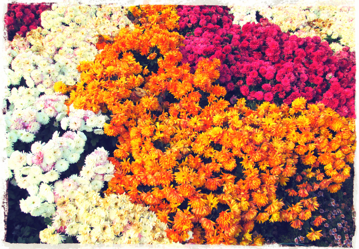 26 (700x486, 725Kb)