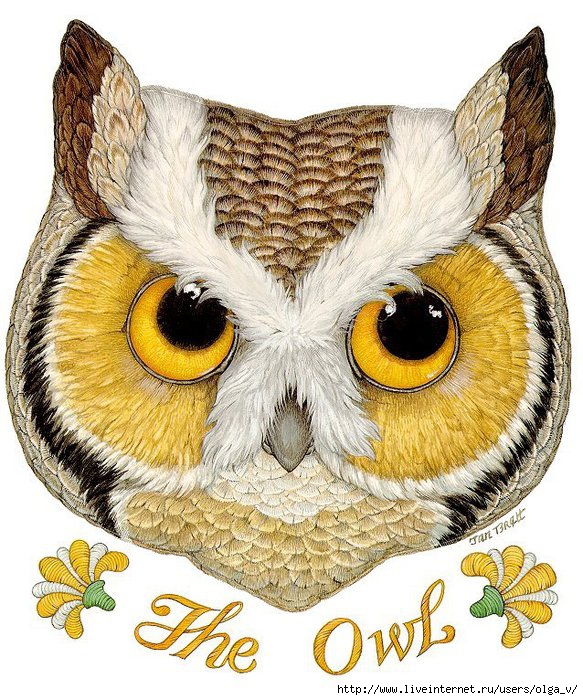 4964063_the_owl_1397227 (583x700, 338Kb)